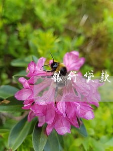 银行贷款逾期扣工资 银行贷款逾期扣工资