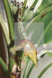银行贷款逾期找我贷后检查 银行贷款逾期找我贷后检查