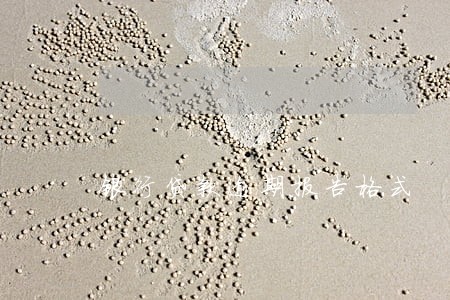 银行贷款逾期报告格式