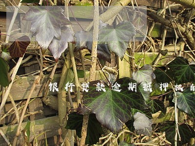 银行贷款逾期抵押权的实现 银行贷款逾期抵押权的实现