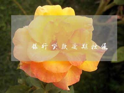 银行贷款逾期担保 银行贷款逾期担保