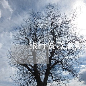 银行贷款逾期担保人会怎么样