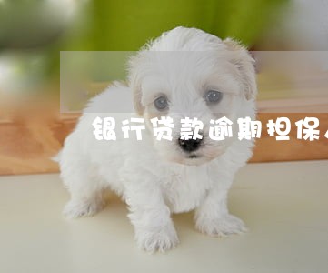 银行贷款逾期担保人无力偿还 银行贷款逾期担保人无力偿还