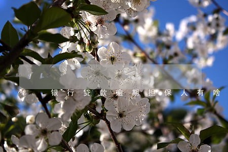 银行贷款逾期担保人有啥影响 银行贷款逾期担保人有啥影响