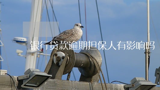 银行贷款逾期担保人有影响吗 银行贷款逾期担保人有影响吗
