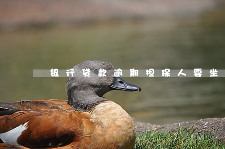银行贷款逾期担保人要坐牢吗 银行贷款逾期担保人要坐牢吗