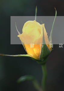 银行贷款逾期担保人逾期吗 银行贷款逾期担保人逾期吗