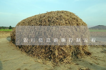 银行贷款逾期控制流程 银行贷款逾期控制流程