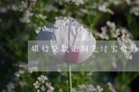 银行贷款逾期支付宝会影响