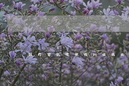 银行贷款逾期收到催收挂号信 银行贷款逾期收到催收挂号信