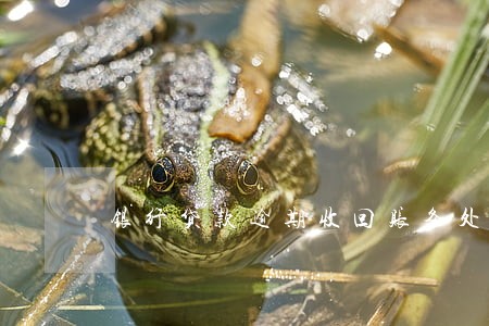 银行贷款逾期收回账务处理 银行贷款逾期收回账务处理