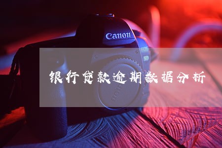 银行贷款逾期数据分析 银行贷款逾期数据分析