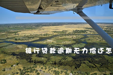 银行贷款逾期无力偿还怎么办