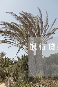 银行贷款逾期无力归还 银行贷款逾期无力归还