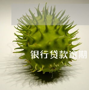 银行贷款逾期日利率 银行贷款逾期日利率