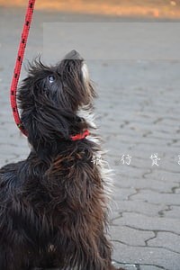 银行贷款逾期是诈骗吗 银行贷款逾期是诈骗吗