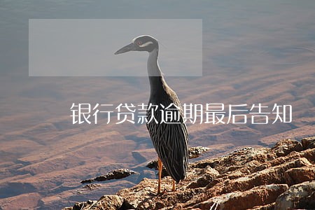 银行贷款逾期最后告知 银行贷款逾期最后告知
