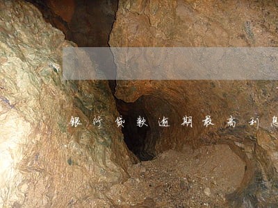 银行贷款逾期最高利息