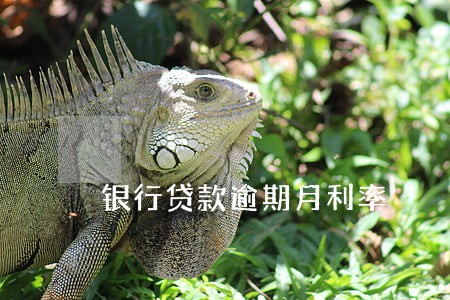 银行贷款逾期月利率