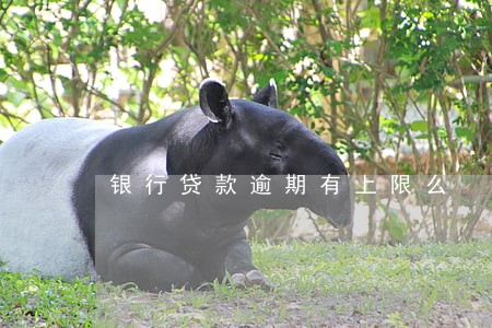 银行贷款逾期有上限么 银行贷款逾期有上限么