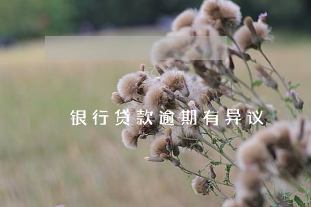 银行贷款逾期有异议 银行贷款逾期有异议