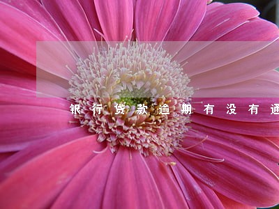 银行贷款逾期有没有通知 银行贷款逾期有没有通知