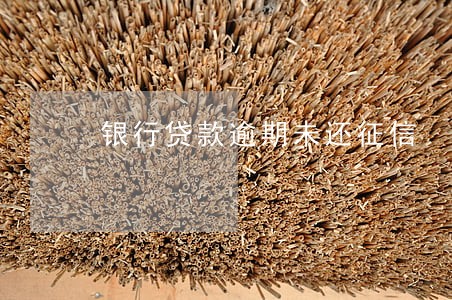 银行贷款逾期未还征信 银行贷款逾期未还征信