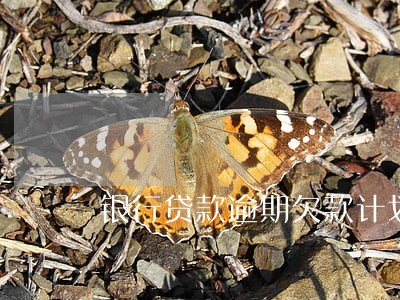 银行贷款逾期欠款计划 银行贷款逾期欠款计划
