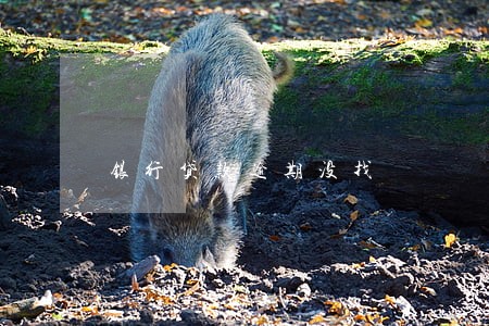 银行贷款逾期没找