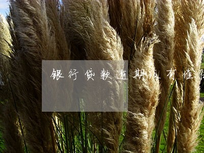 银行贷款逾期没有催债 银行贷款逾期没有催债