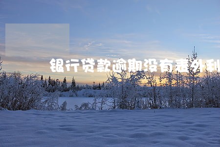银行贷款逾期没有表外利息 银行贷款逾期没有表外利息