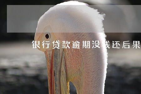 银行贷款逾期没钱还后果 银行贷款逾期没钱还后果