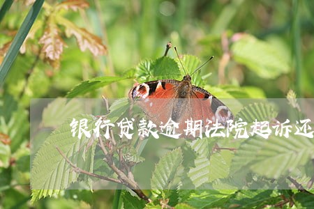 银行贷款逾期法院起诉还本金 银行贷款逾期法院起诉还本金