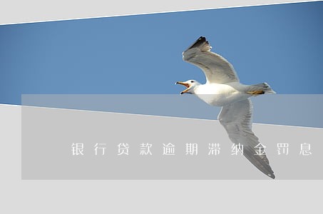 银行贷款逾期滞纳金罚息 银行贷款逾期滞纳金罚息