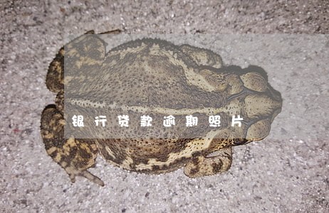 银行贷款逾期照片 银行贷款逾期照片
