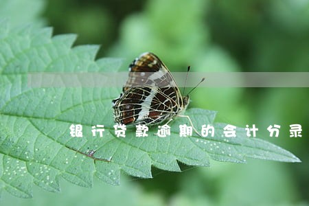 银行贷款逾期的会计分录 银行贷款逾期的会计分录
