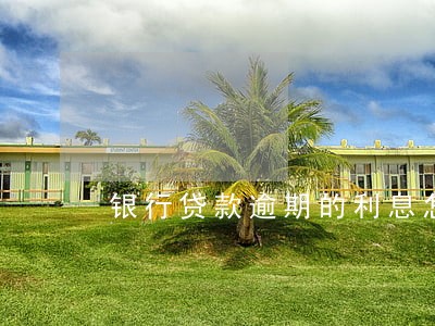 银行贷款逾期的利息怎么算的 银行贷款逾期的利息怎么算的