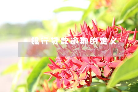 银行贷款逾期的定义 银行贷款逾期的定义