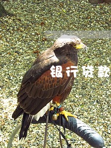 银行贷款逾期的结果 银行贷款逾期的结果