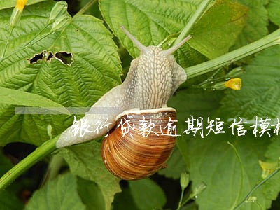 银行贷款逾期短信模板 银行贷款逾期短信模板