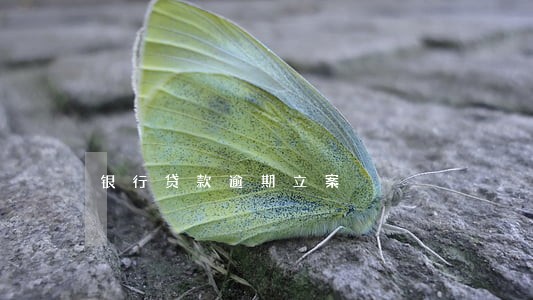 银行贷款逾期立案 银行贷款逾期立案