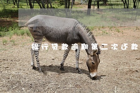 银行贷款逾期第二次还款计划 银行贷款逾期第二次还款计划