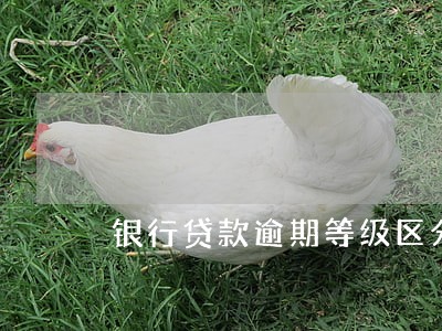 银行贷款逾期等级区分 银行贷款逾期等级区分