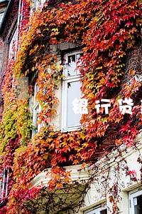 银行贷款逾期答辩词 银行贷款逾期答辩词