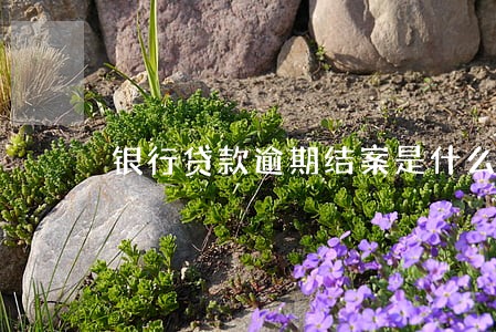 银行贷款逾期结案是什么意思 银行贷款逾期结案是什么意思