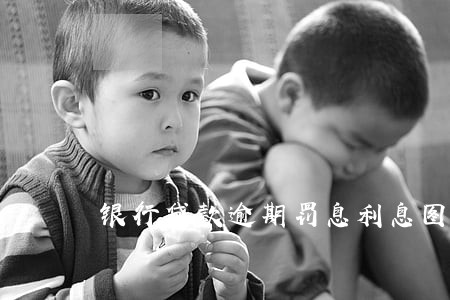 银行贷款逾期罚息利息图片 银行贷款逾期罚息利息图片