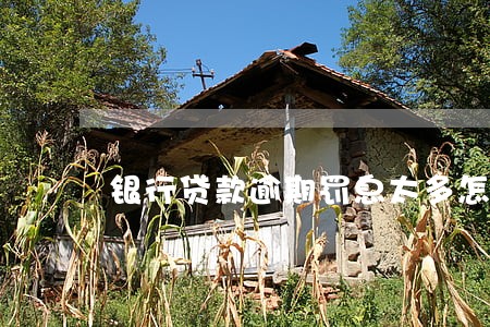 银行贷款逾期罚息太多怎么办 银行贷款逾期罚息太多怎么办