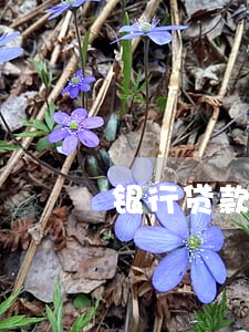 银行贷款逾期罚息案例 银行贷款逾期罚息案例