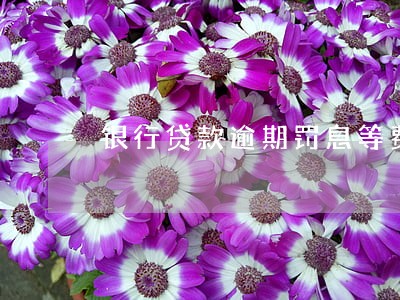 银行贷款逾期罚息等费用 银行贷款逾期罚息等费用