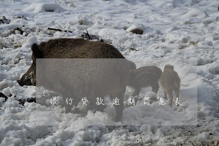 银行贷款逾期罚息表 银行贷款逾期罚息表